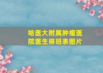 哈医大附属肿瘤医院医生排班表图片