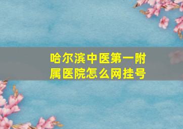 哈尔滨中医第一附属医院怎么网挂号