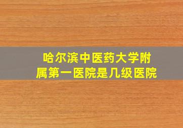 哈尔滨中医药大学附属第一医院是几级医院