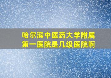 哈尔滨中医药大学附属第一医院是几级医院啊