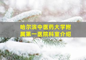 哈尔滨中医药大学附属第一医院科室介绍