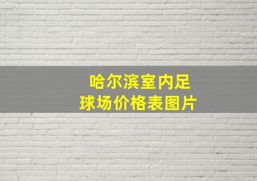 哈尔滨室内足球场价格表图片