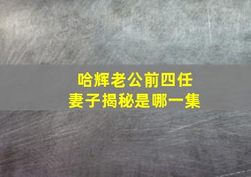 哈辉老公前四任妻子揭秘是哪一集