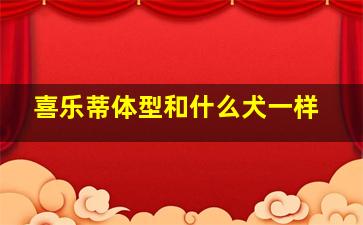 喜乐蒂体型和什么犬一样