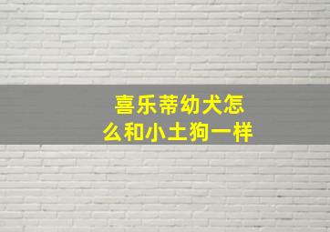 喜乐蒂幼犬怎么和小土狗一样