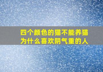 四个颜色的猫不能养猫为什么喜欢阴气重的人