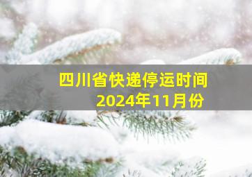 四川省快递停运时间2024年11月份