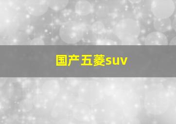 国产五菱suv