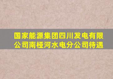 国家能源集团四川发电有限公司南桠河水电分公司待遇