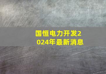 国恒电力开发2024年最新消息