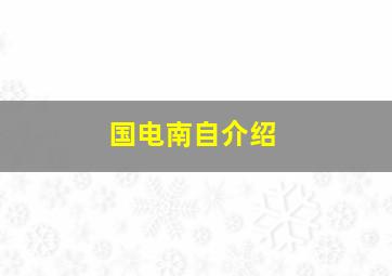 国电南自介绍