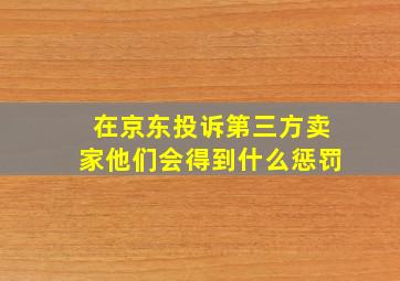 在京东投诉第三方卖家他们会得到什么惩罚