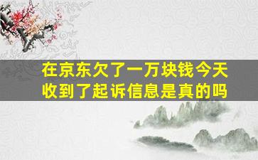 在京东欠了一万块钱今天收到了起诉信息是真的吗