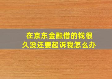 在京东金融借的钱很久没还要起诉我怎么办