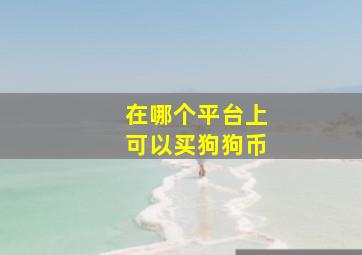 在哪个平台上可以买狗狗币