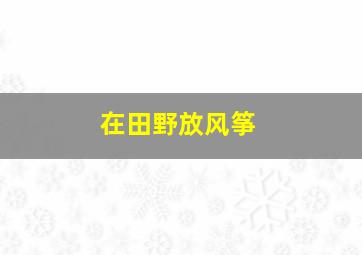 在田野放风筝