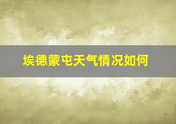 埃德蒙屯天气情况如何