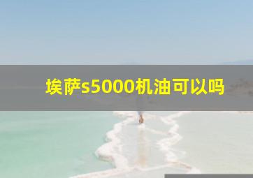 埃萨s5000机油可以吗