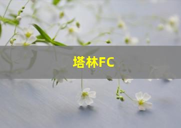 塔林FC