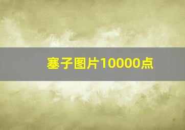 塞子图片10000点