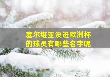 塞尔维亚没进欧洲杯的球员有哪些名字呢