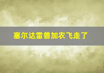 塞尔达雷兽加农飞走了