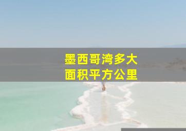 墨西哥湾多大面积平方公里