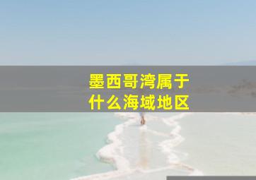 墨西哥湾属于什么海域地区