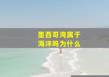 墨西哥湾属于海洋吗为什么