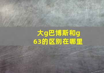 大g巴博斯和g63的区别在哪里