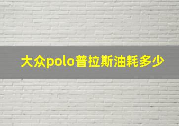 大众polo普拉斯油耗多少