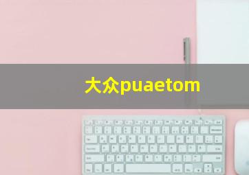 大众puaetom