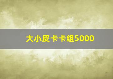 大小皮卡卡组5000