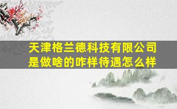 天津格兰德科技有限公司是做啥的咋样待遇怎么样