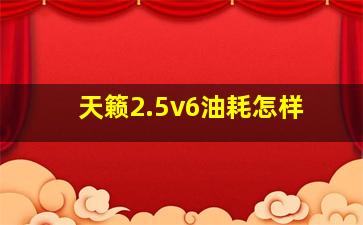 天籁2.5v6油耗怎样