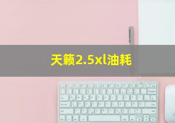 天籁2.5xl油耗