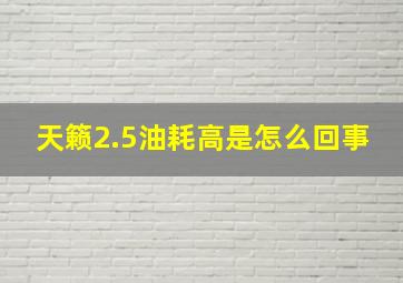 天籁2.5油耗高是怎么回事