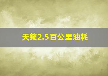 天籁2.5百公里油耗