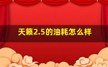 天籁2.5的油耗怎么样