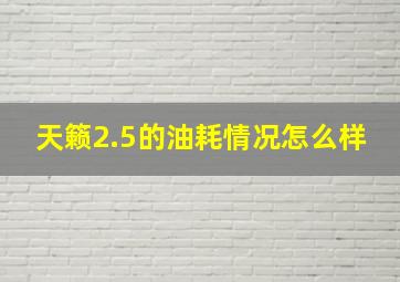 天籁2.5的油耗情况怎么样