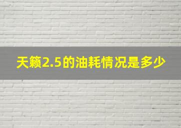 天籁2.5的油耗情况是多少