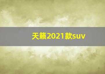 天籁2021款suv