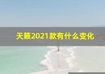 天籁2021款有什么变化