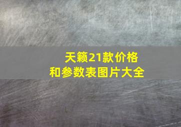 天籁21款价格和参数表图片大全