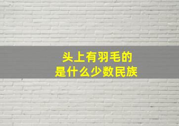 头上有羽毛的是什么少数民族