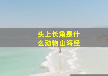 头上长角是什么动物山海经