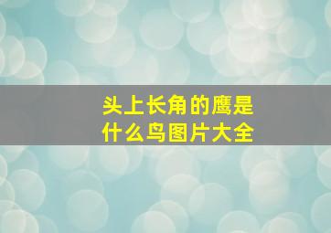 头上长角的鹰是什么鸟图片大全