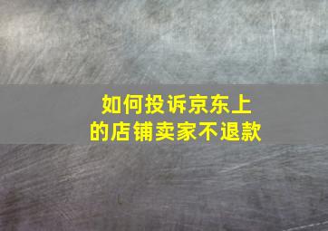 如何投诉京东上的店铺卖家不退款