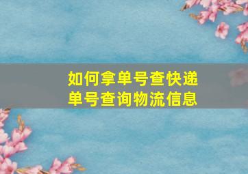 如何拿单号查快递单号查询物流信息