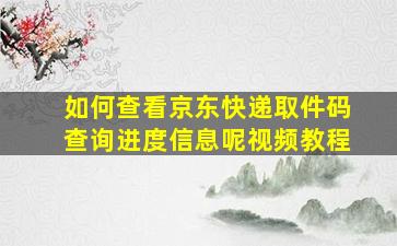 如何查看京东快递取件码查询进度信息呢视频教程